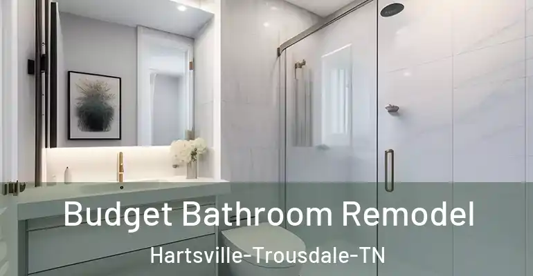 inner Bathroom imggen Budget Bathroom Remodel Hartsville-Trousdale-TN