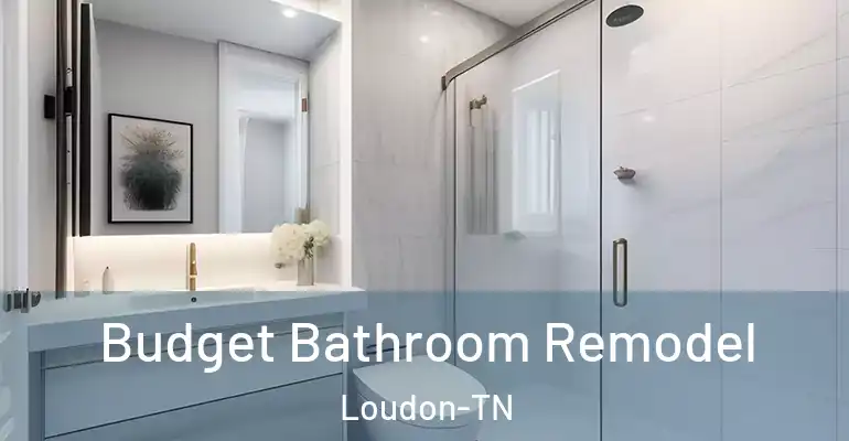 inner Bathroom imggen Budget Bathroom Remodel Loudon-TN