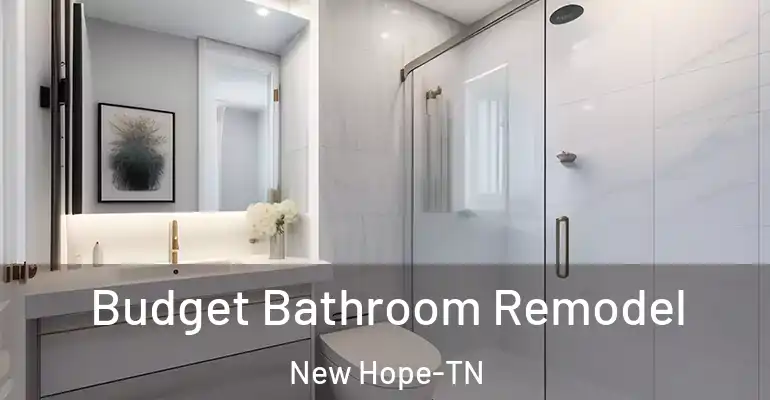 inner Bathroom imggen Budget Bathroom Remodel New Hope-TN