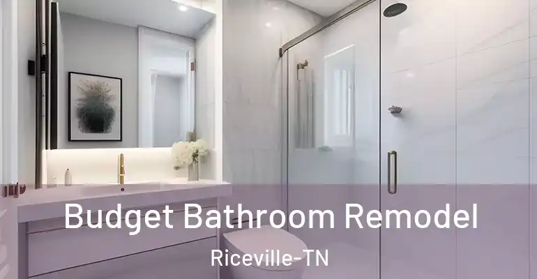 inner Bathroom imggen Budget Bathroom Remodel Riceville-TN