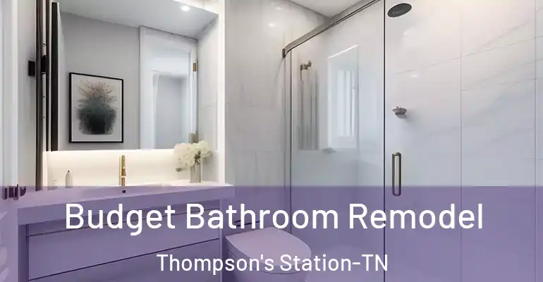 inner Bathroom imggen Budget Bathroom Remodel Thompson's Station-TN