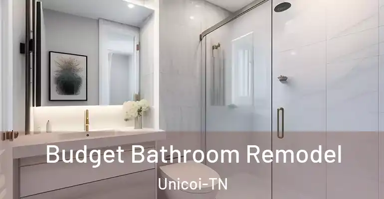 inner Bathroom imggen Budget Bathroom Remodel Unicoi-TN