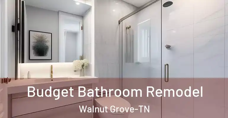 inner Bathroom imggen Budget Bathroom Remodel Walnut Grove-TN