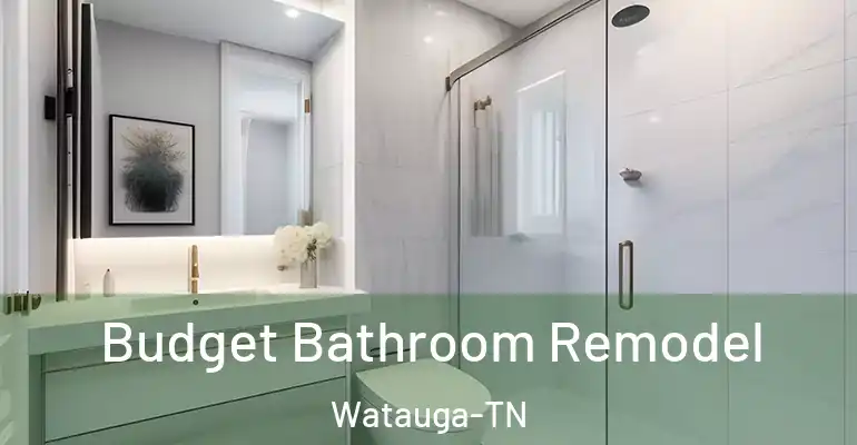 inner Bathroom imggen Budget Bathroom Remodel Watauga-TN