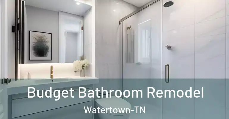 inner Bathroom imggen Budget Bathroom Remodel Watertown-TN