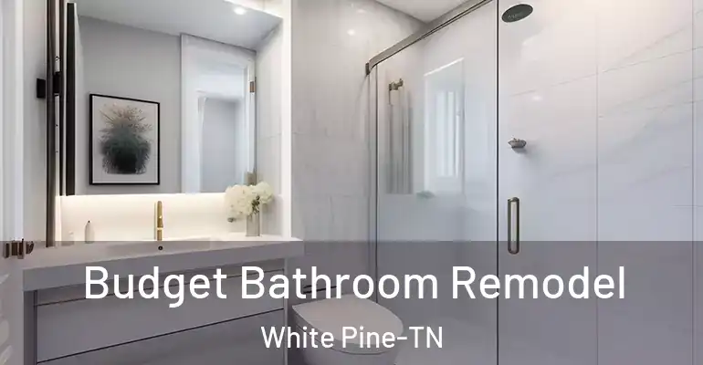 inner Bathroom imggen Budget Bathroom Remodel White Pine-TN