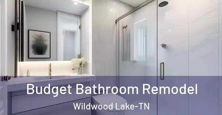 inner Bathroom imggen Budget Bathroom Remodel Wildwood Lake-TN