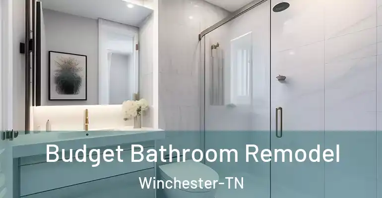 inner Bathroom imggen Budget Bathroom Remodel Winchester-TN