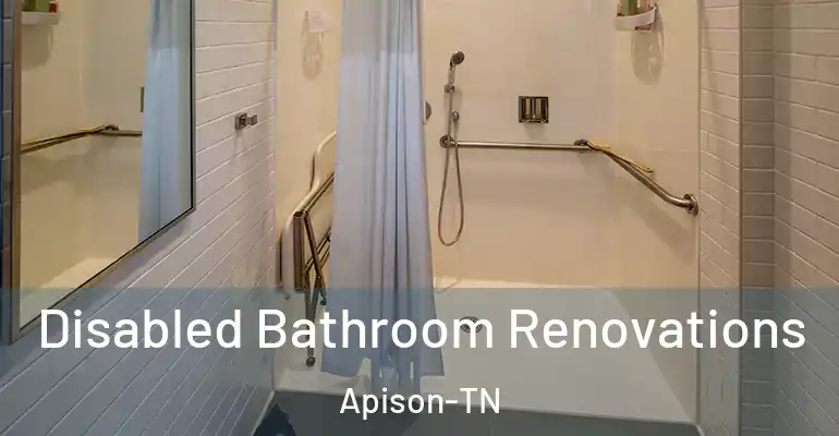 inner Bathroom imggen Disabled Bathroom Renovations Apison-TN