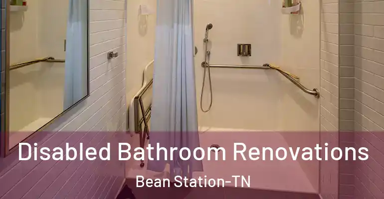 inner Bathroom imggen Disabled Bathroom Renovations Bean Station-TN
