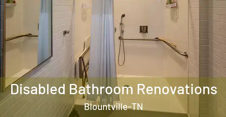 inner Bathroom imggen Disabled Bathroom Renovations Blountville-TN