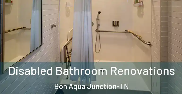 inner Bathroom imggen Disabled Bathroom Renovations Bon Aqua Junction-TN