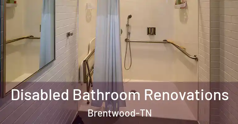 inner Bathroom imggen Disabled Bathroom Renovations Brentwood-TN