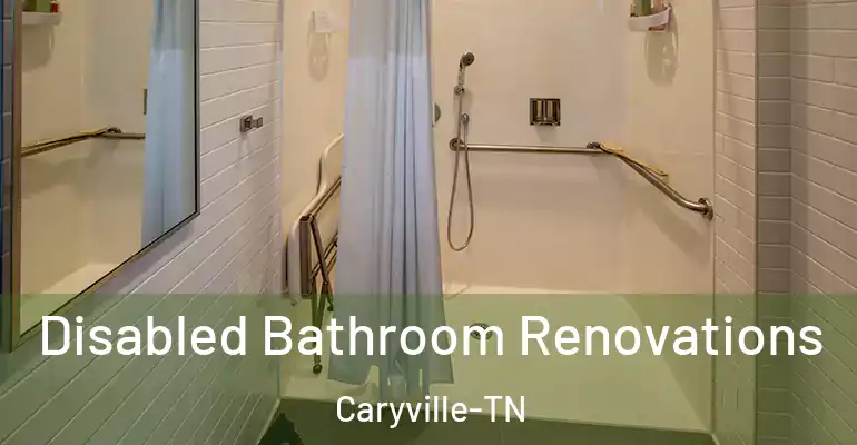 inner Bathroom imggen Disabled Bathroom Renovations Caryville-TN