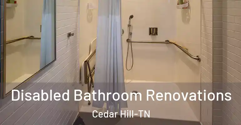 inner Bathroom imggen Disabled Bathroom Renovations Cedar Hill-TN