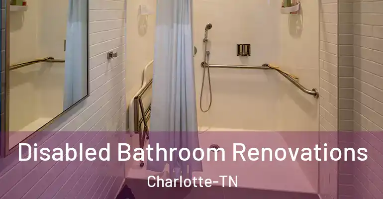 inner Bathroom imggen Disabled Bathroom Renovations Charlotte-TN