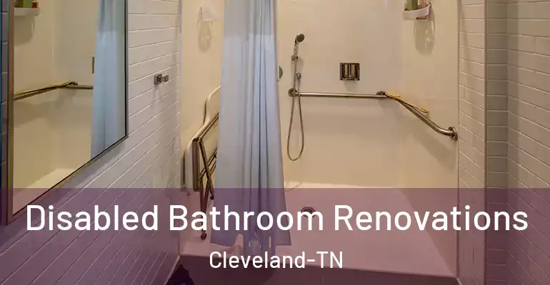inner Bathroom imggen Disabled Bathroom Renovations Cleveland-TN