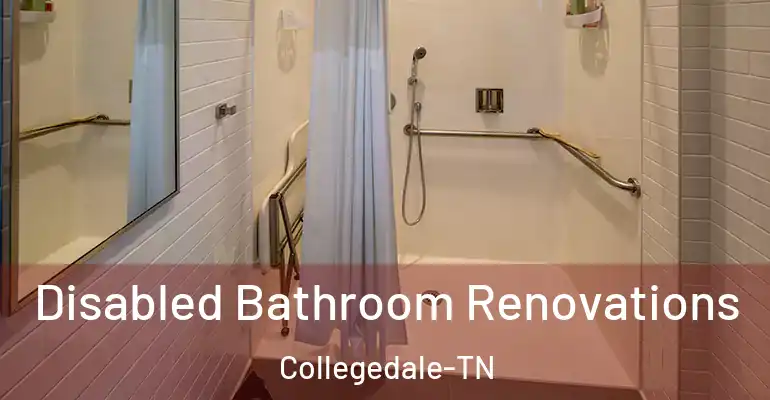 inner Bathroom imggen Disabled Bathroom Renovations Collegedale-TN