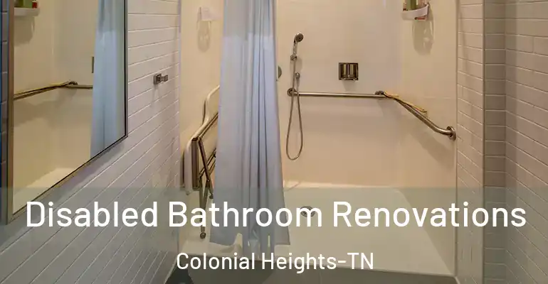 inner Bathroom imggen Disabled Bathroom Renovations Colonial Heights-TN