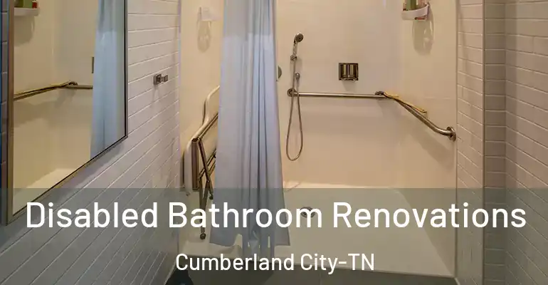 inner Bathroom imggen Disabled Bathroom Renovations Cumberland City-TN