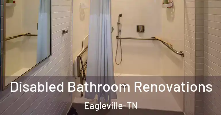 inner Bathroom imggen Disabled Bathroom Renovations Eagleville-TN