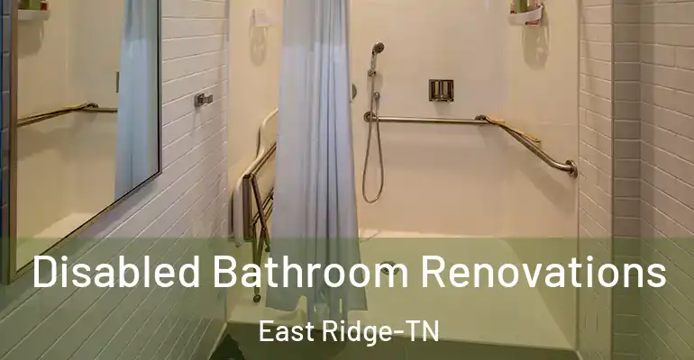 inner Bathroom imggen Disabled Bathroom Renovations East Ridge-TN