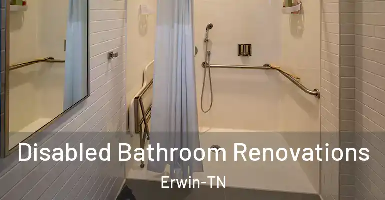 inner Bathroom imggen Disabled Bathroom Renovations Erwin-TN