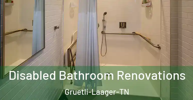 inner Bathroom imggen Disabled Bathroom Renovations Gruetli-Laager-TN