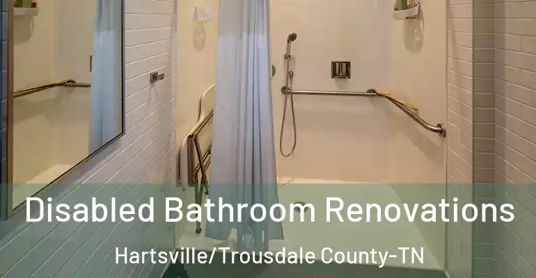 inner Bathroom imggen Disabled Bathroom Renovations Hartsville/Trousdale County-TN