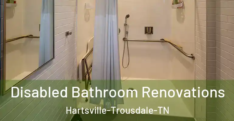 inner Bathroom imggen Disabled Bathroom Renovations Hartsville-Trousdale-TN