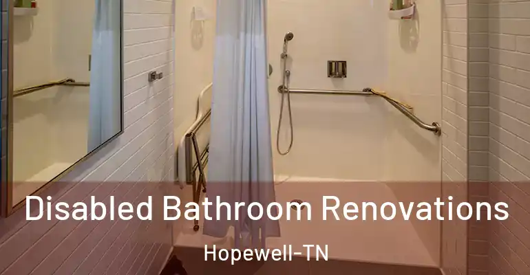 inner Bathroom imggen Disabled Bathroom Renovations Hopewell-TN