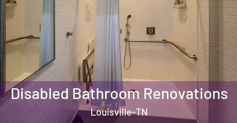 inner Bathroom imggen Disabled Bathroom Renovations Louisville-TN