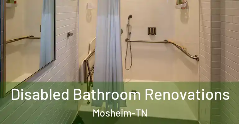 inner Bathroom imggen Disabled Bathroom Renovations Mosheim-TN
