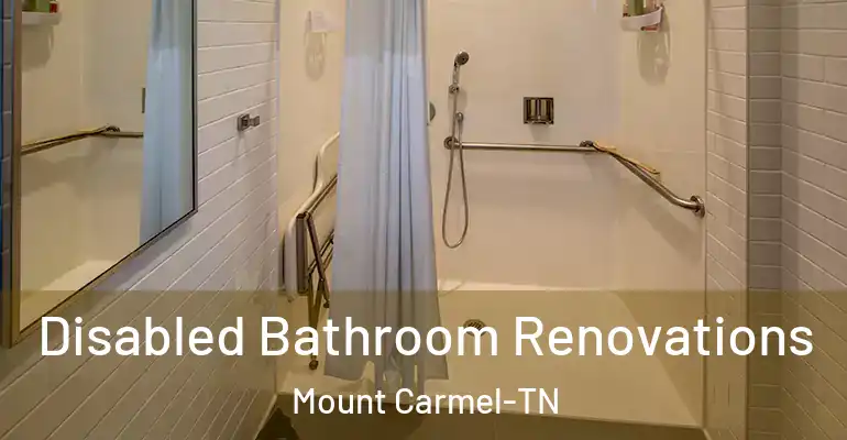 inner Bathroom imggen Disabled Bathroom Renovations Mount Carmel-TN