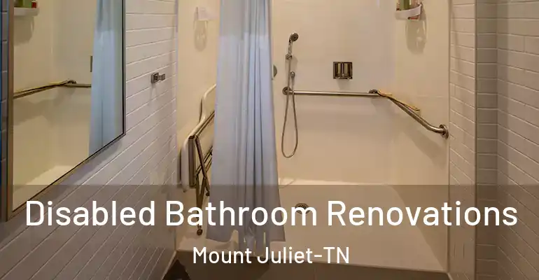 inner Bathroom imggen Disabled Bathroom Renovations Mount Juliet-TN