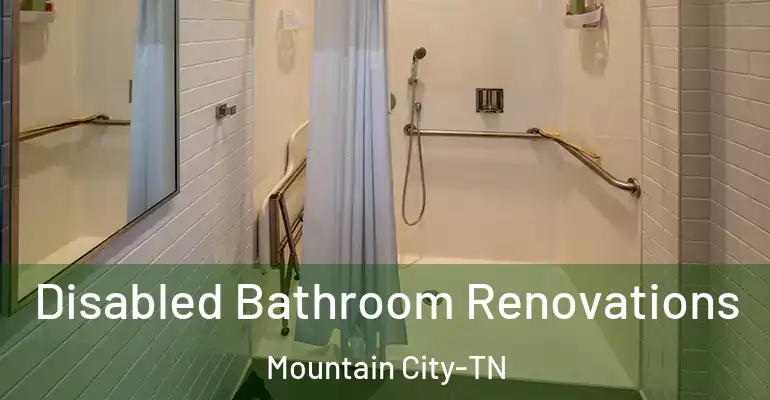 inner Bathroom imggen Disabled Bathroom Renovations Mountain City-TN