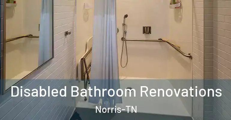 inner Bathroom imggen Disabled Bathroom Renovations Norris-TN
