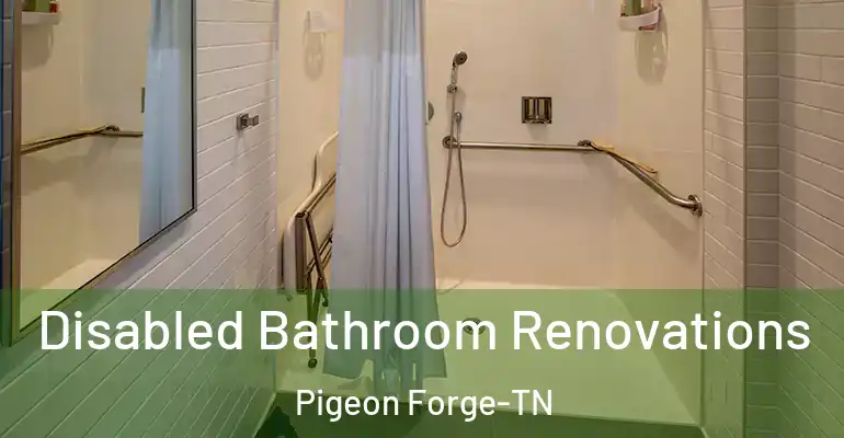 inner Bathroom imggen Disabled Bathroom Renovations Pigeon Forge-TN