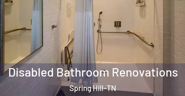inner Bathroom imggen Disabled Bathroom Renovations Spring Hill-TN