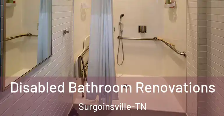 inner Bathroom imggen Disabled Bathroom Renovations Surgoinsville-TN