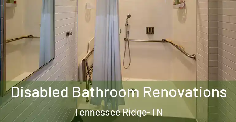 inner Bathroom imggen Disabled Bathroom Renovations Tennessee Ridge-TN