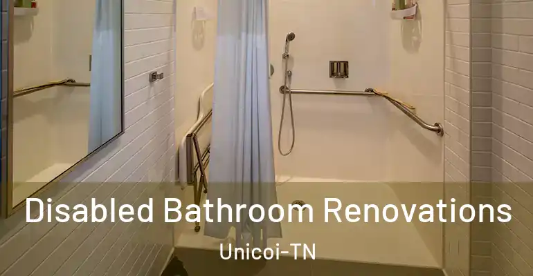 inner Bathroom imggen Disabled Bathroom Renovations Unicoi-TN