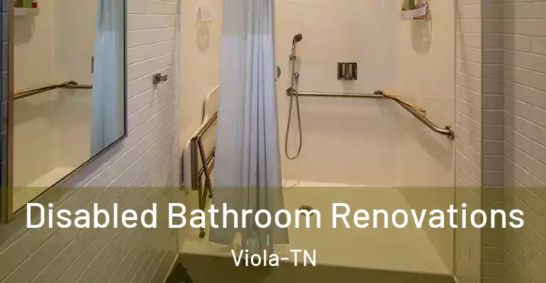 inner Bathroom imggen Disabled Bathroom Renovations Viola-TN