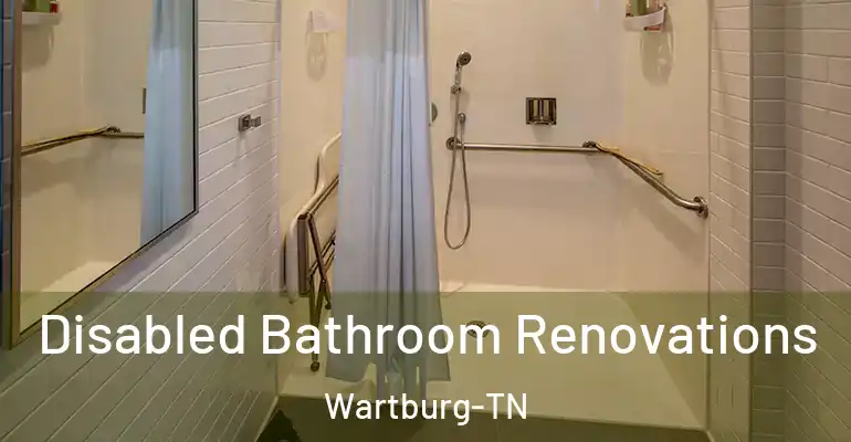 inner Bathroom imggen Disabled Bathroom Renovations Wartburg-TN
