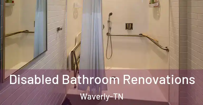 inner Bathroom imggen Disabled Bathroom Renovations Waverly-TN