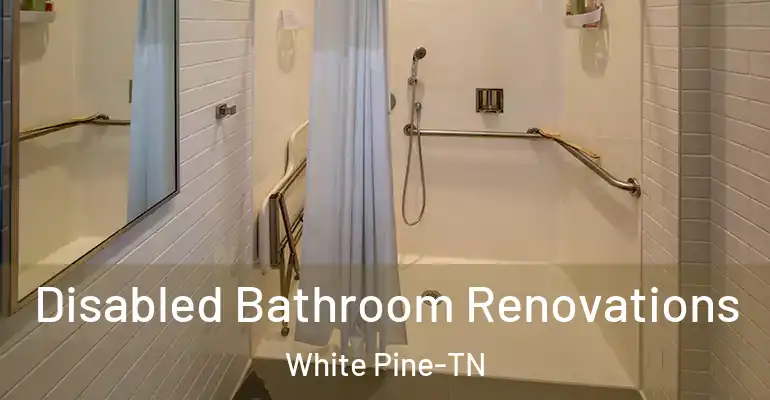inner Bathroom imggen Disabled Bathroom Renovations White Pine-TN