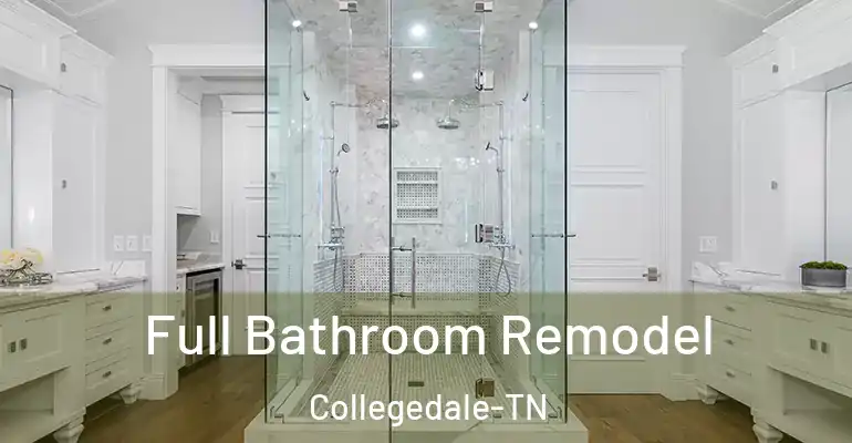 inner Bathroom imggen Full Bathroom Remodel Collegedale-TN