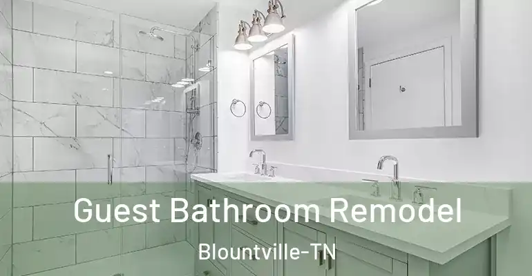 inner Bathroom imggen Guest Bathroom Remodel Blountville-TN