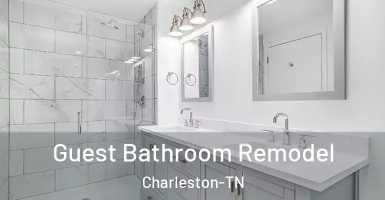 inner Bathroom imggen Guest Bathroom Remodel Charleston-TN