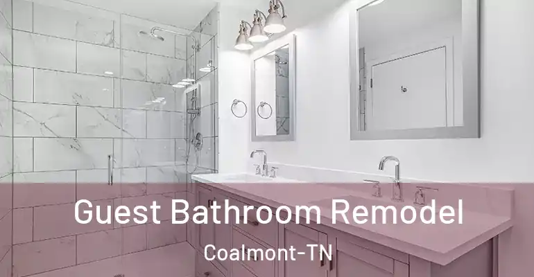 inner Bathroom imggen Guest Bathroom Remodel Coalmont-TN